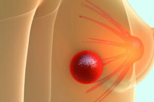 cancer-mama-ciclo-menstrual-2.jpg