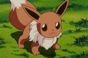 Eevee pokémon oficial 2.jpg