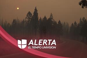 Caldor Forest Road.jpg