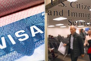 Visa U