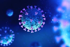 proteina_coronavirus_avance_combate_2.jpg