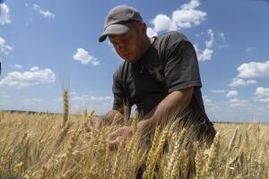 Russia Ukraine War Grain Deal Explainer 