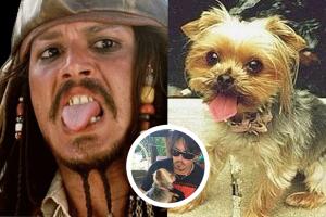 johnny-depp-dog.jpg