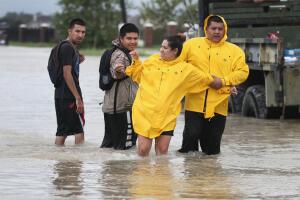 harvey2.jpg