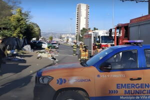 viña del mar.jpeg