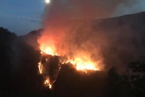 INCENDIO MOSQUITO.jpeg