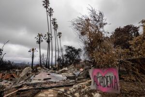 AP25038032621581 (1).jpg