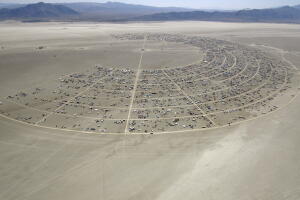 Burning Man Experimental Evolution