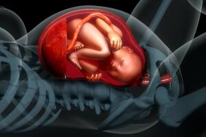 bebe-gravidez-gestacao-06.17-1400x800_0.jpg