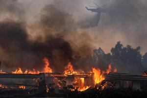 AP24312008765164 (2).jpg