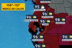 calor tampa .jpg