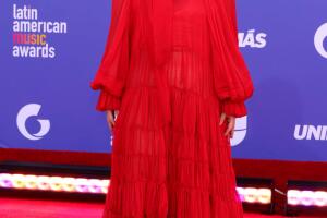 Erika Buenfil en los Latin AMAs