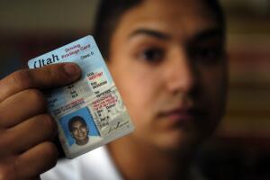 indocumentados licencias