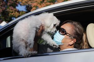 MASCOTAS CORONAVIRUS.jpg