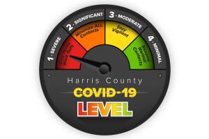 Nivel de coronavirus.jpg