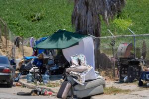 AP24208839434989 (1).jpg