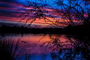Sunset at Gilbert Riparian Preserve At Water Ranch