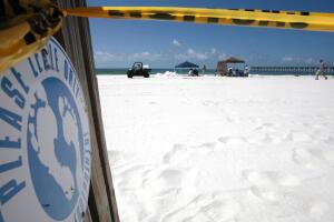 Gulf Oil Spill