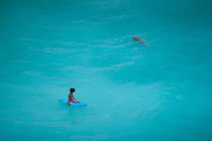 Beautiful fit surfer girl looking at sea cow fish