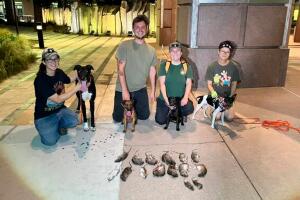 Perros cazadores: la estrategia ecológica contra las ratas en Sacramento