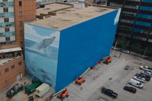 Mural ballenas Dallas