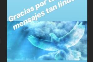 Tania Ruiz Eichelmann niega rumor de embarazo, abril 2019