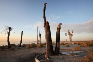 Salton Sea, California