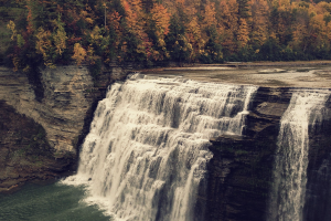 Mejores lugares para disfrutar la llegada del otoño en Nueva York