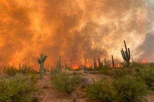 Siphon Fire: Piden a residentes estar preparados para evacuar sus hogares