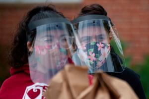 escudos plásticos faciales