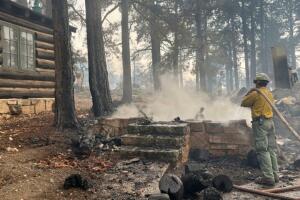 AP25194825098695 (1).jpg