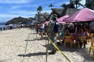 Resguardo del elefante marino en Nayarit, México