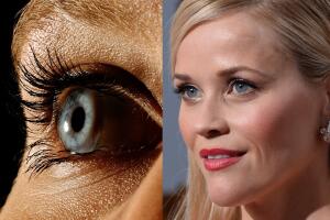 La ciencia explica por qué vemos los ojos de Reese Witherspoon de color azul.