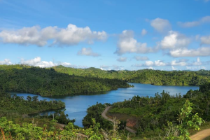 Bosque Estatal de Carite - Mejores Parques Nacionales de Puerto Rico