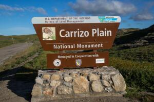 Exploring Carrizo Plain National Monument