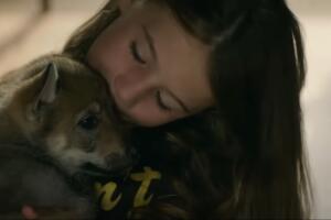 misterio pelicula de netflix.jpg