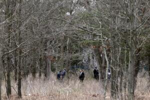 Attorney General Gangs