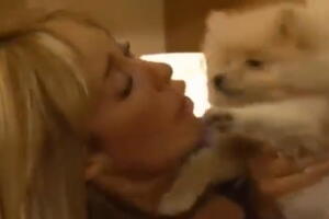 anahi perro4 T.jpg