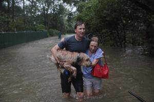 harvey-houston1.jpg