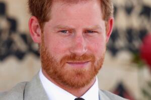 principe_harry_influencer.jpg