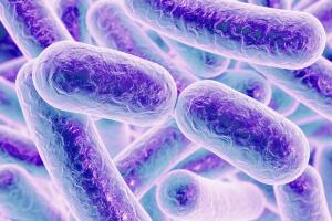 microbio-resistente_5.jpg