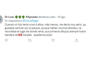 Comentarios de Twitter