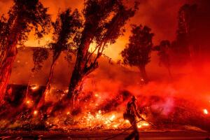 pge wildfires.jpg