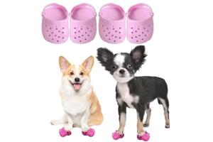 ¿Crocs para perros?