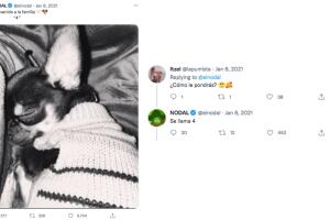 cuatro-perro-de-belinda-y-nodal-twitter.jpg