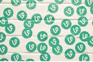 vine8.jpg