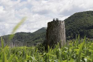 APTOPIX Slovenia Melania Trump Statue