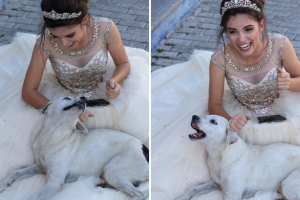 Perrito callejero interrumpe sesión de fotos de quinceañera