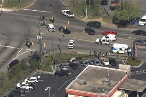 atropellado en Durham.jpg