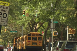 manejar-zona-escolar-multas